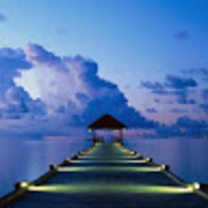 Meet your Posher, Jermaine